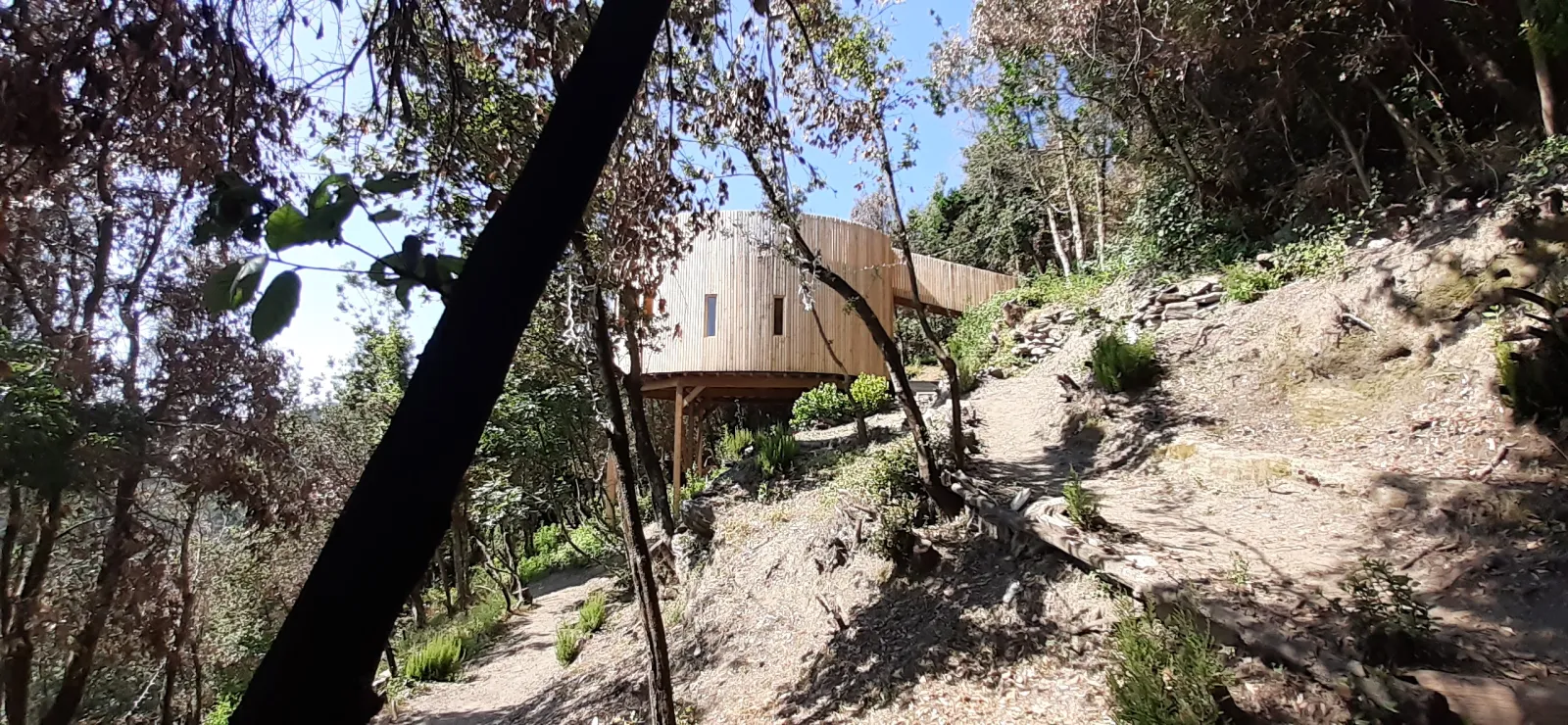 Cabane l'Albitru à Poggio-Marinaccio, photo 6