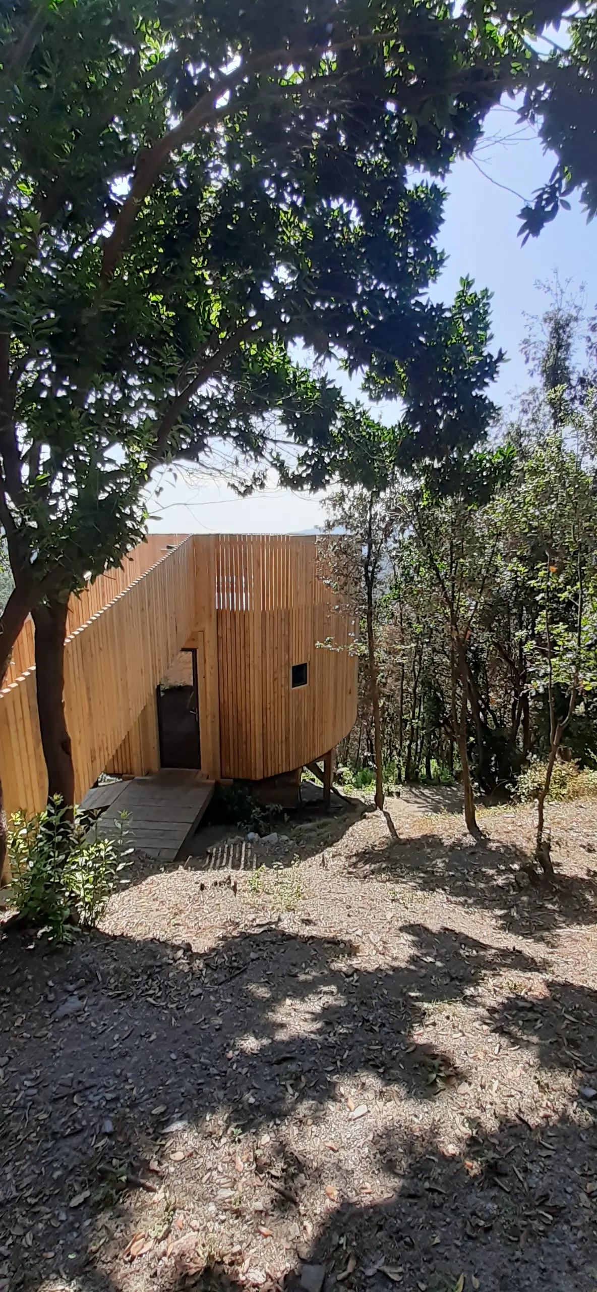 Cabane l'Albitru à Poggio-Marinaccio, photo 7
