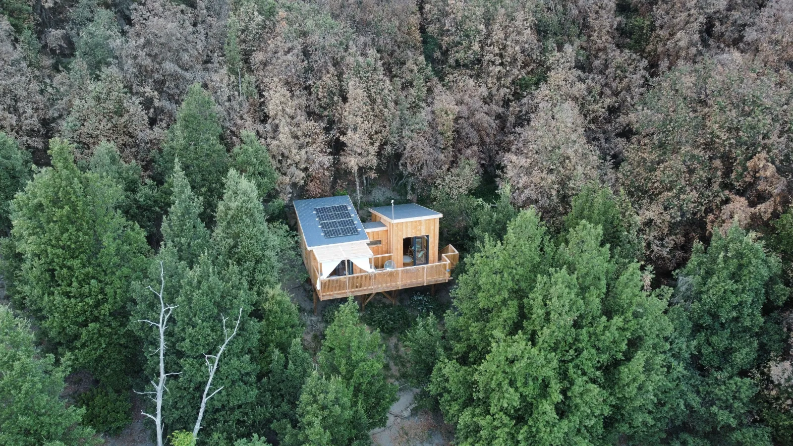 Cabane Surghjente, cabane à Poggio-Marinaccio