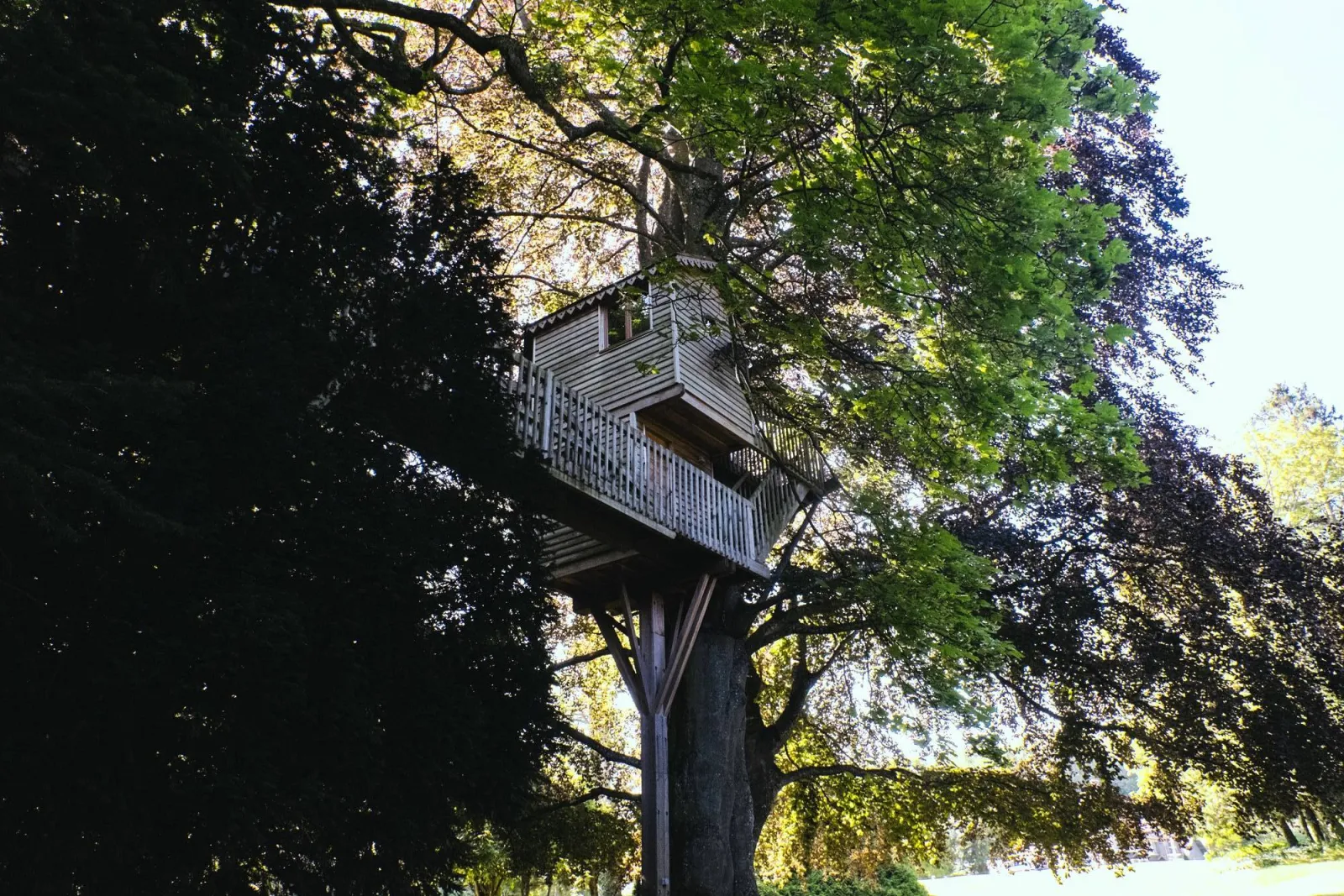 La Canopée à Chigny-les-Roses, photo 6