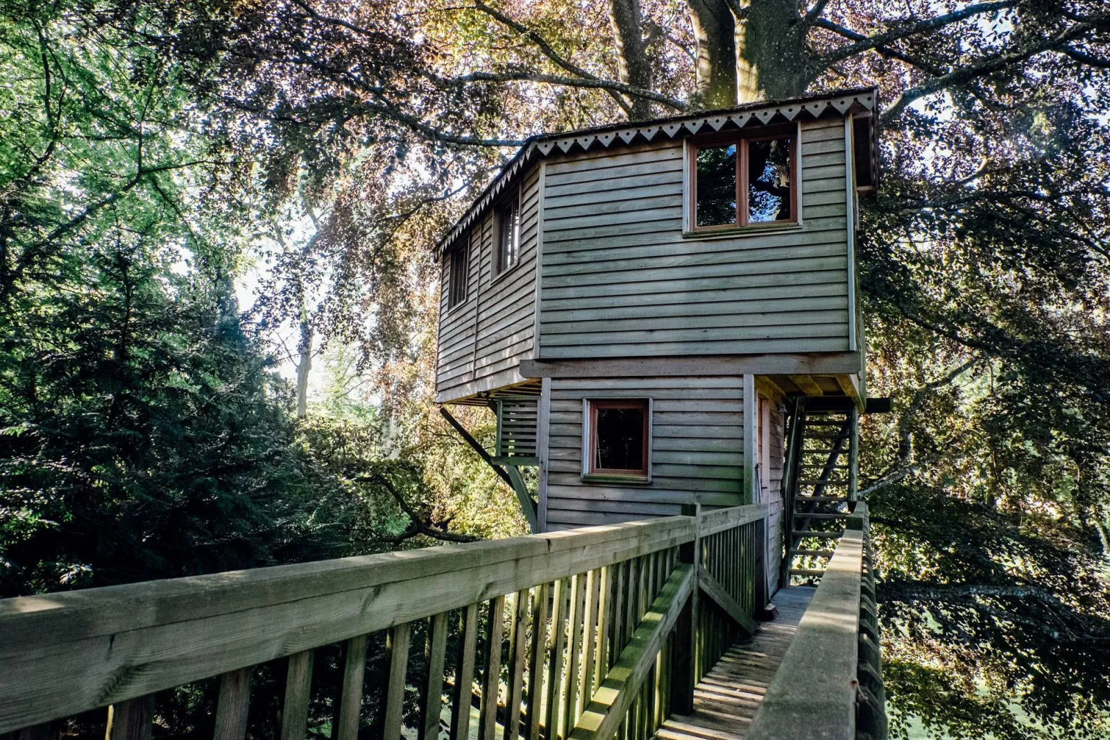 La Canopée à Chigny-les-Roses, photo 7