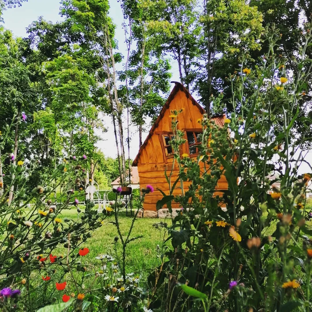 La Petite Cabane de la Gare à Esclavolles-Lurey, photo 2
