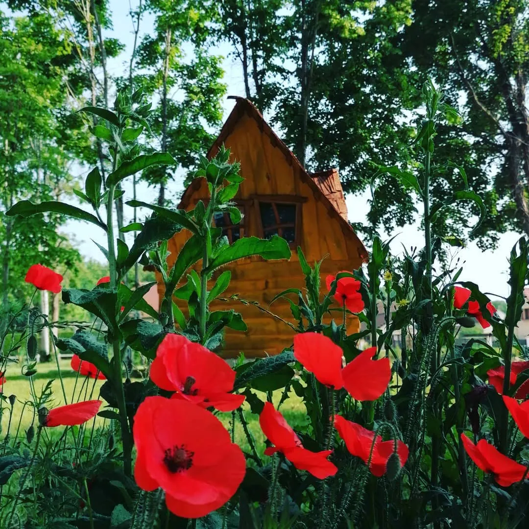 La Petite Cabane de la Gare à Esclavolles-Lurey, photo 3