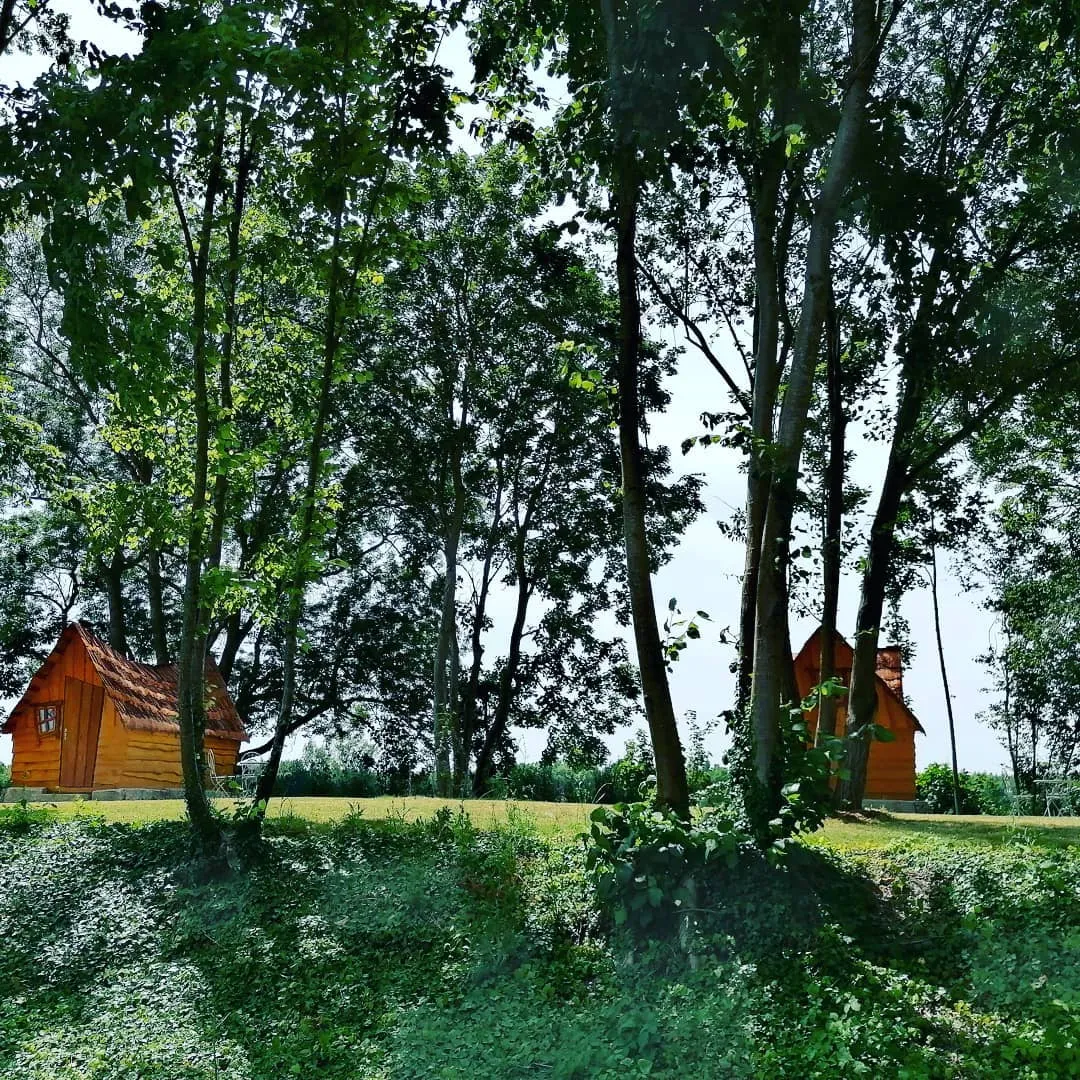 La Petite Cabane de la Gare à Esclavolles-Lurey, photo 4