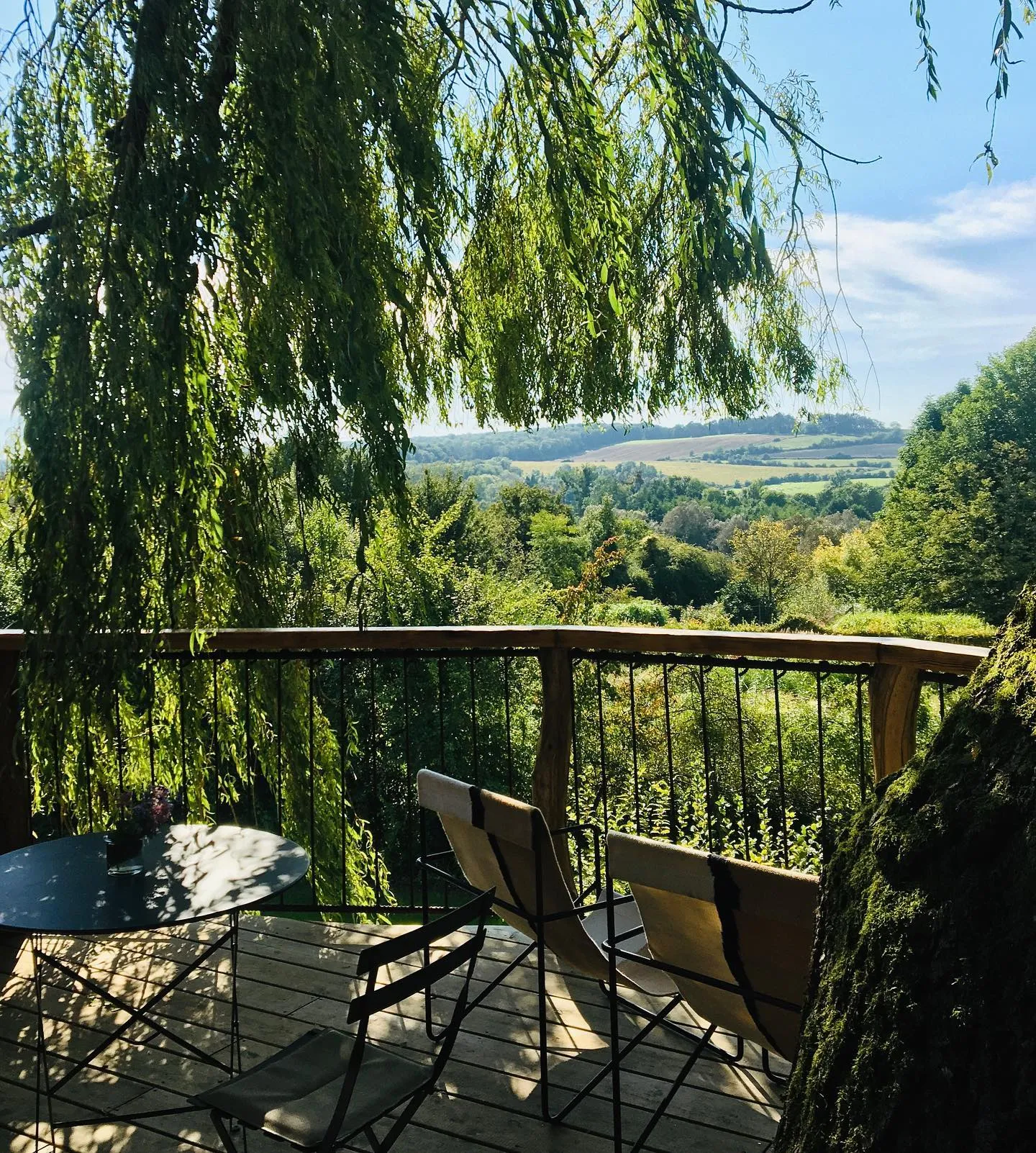 Cabane Pinot Noir à Nanteuil-la-Forêt, photo 4