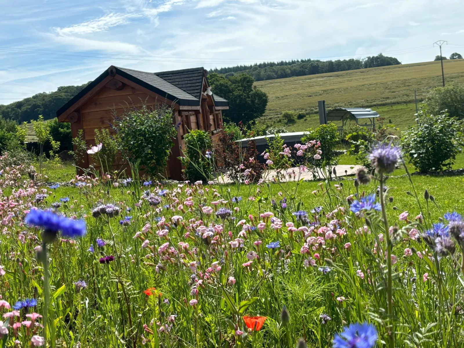 La Petite Bicolia, cabane à Romain-sur-Meuse