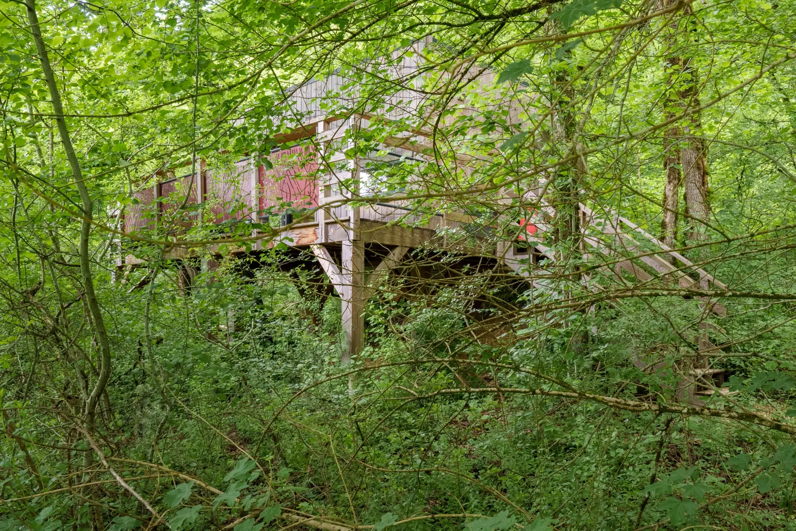 Cabane Carpinus à Marnay-sur-Marne, photo 3