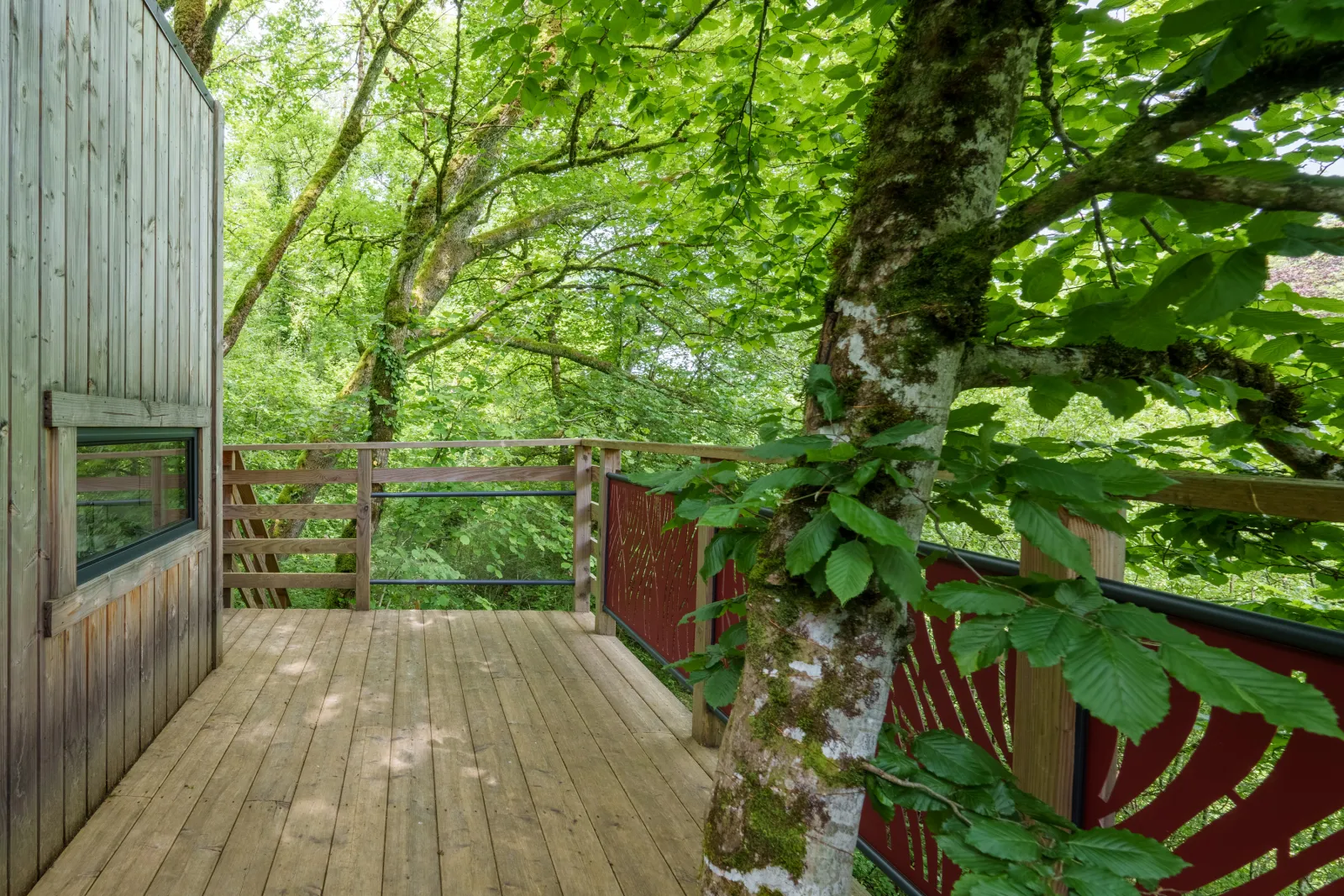 Cabane Carpinus à Marnay-sur-Marne, photo 6