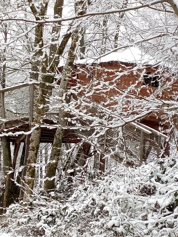 Cabane le Petit Toit du Monde à Grandfontaine, photo 7