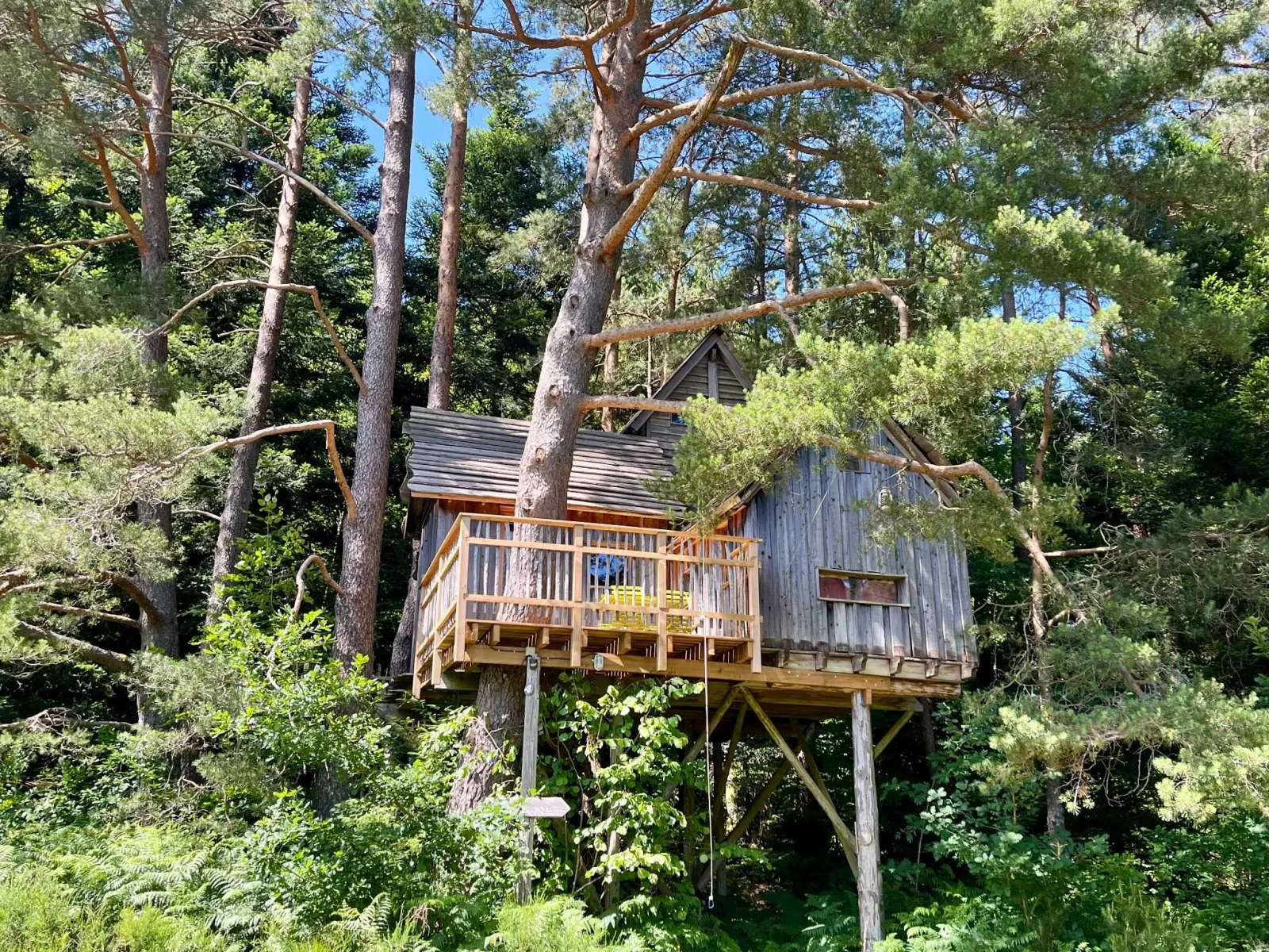 Cabane Cosy Duo, cabane à Champdray