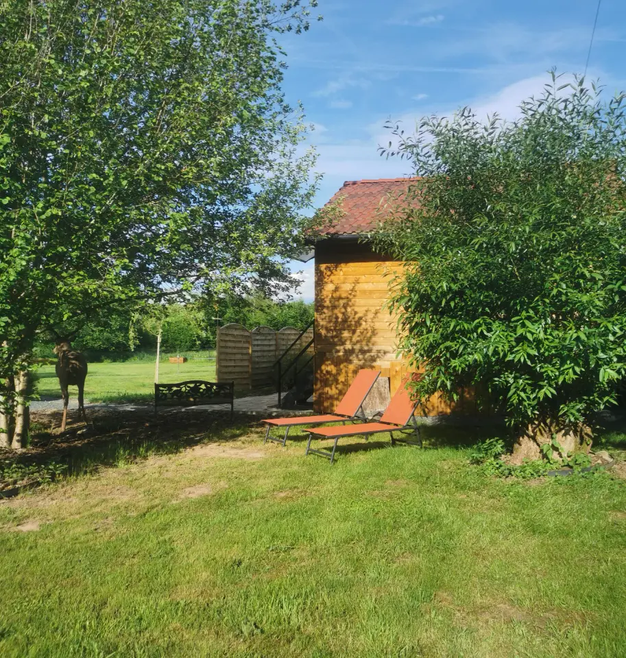 Cabane du Cerf à Saulcy-sur-Meurthe, photo 3