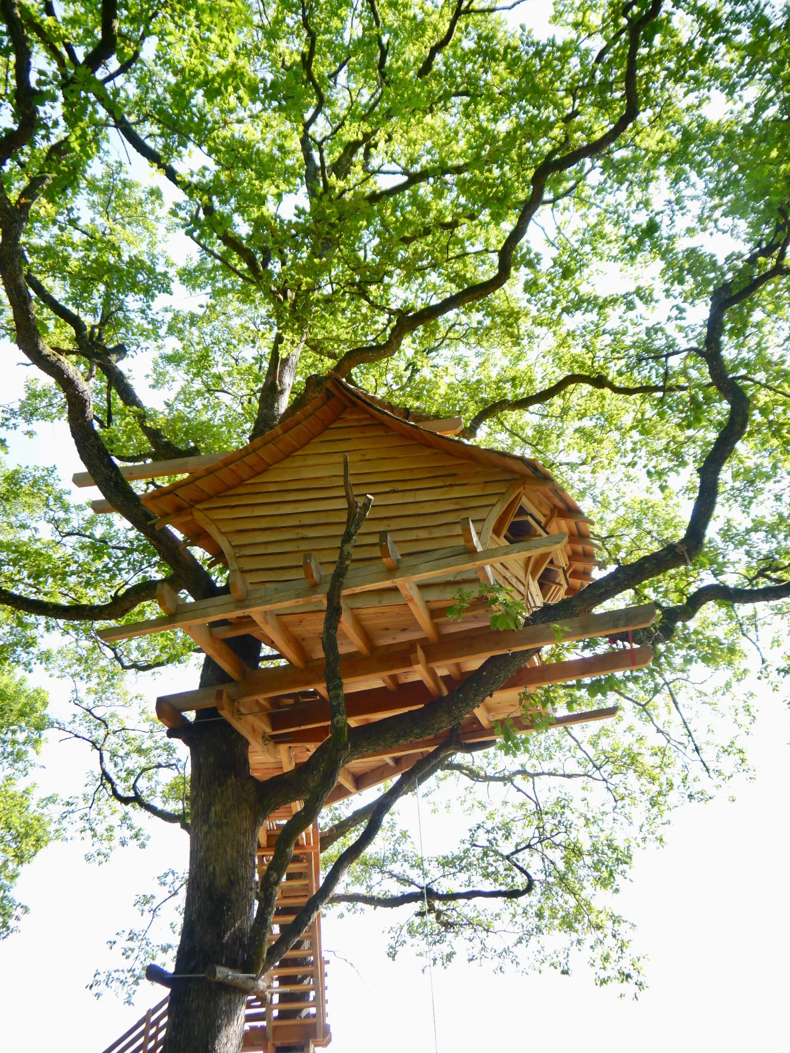 Cabane Uthando à Vittel, photo 3