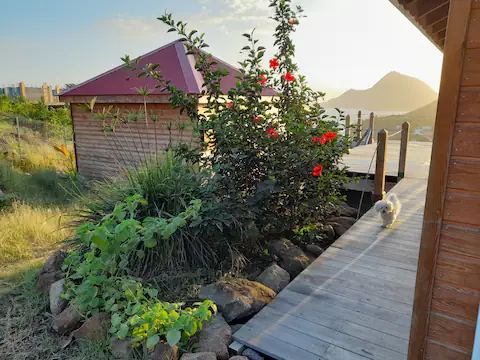 Ti Kaz Anoli à Terre-de-Bas, photo 2