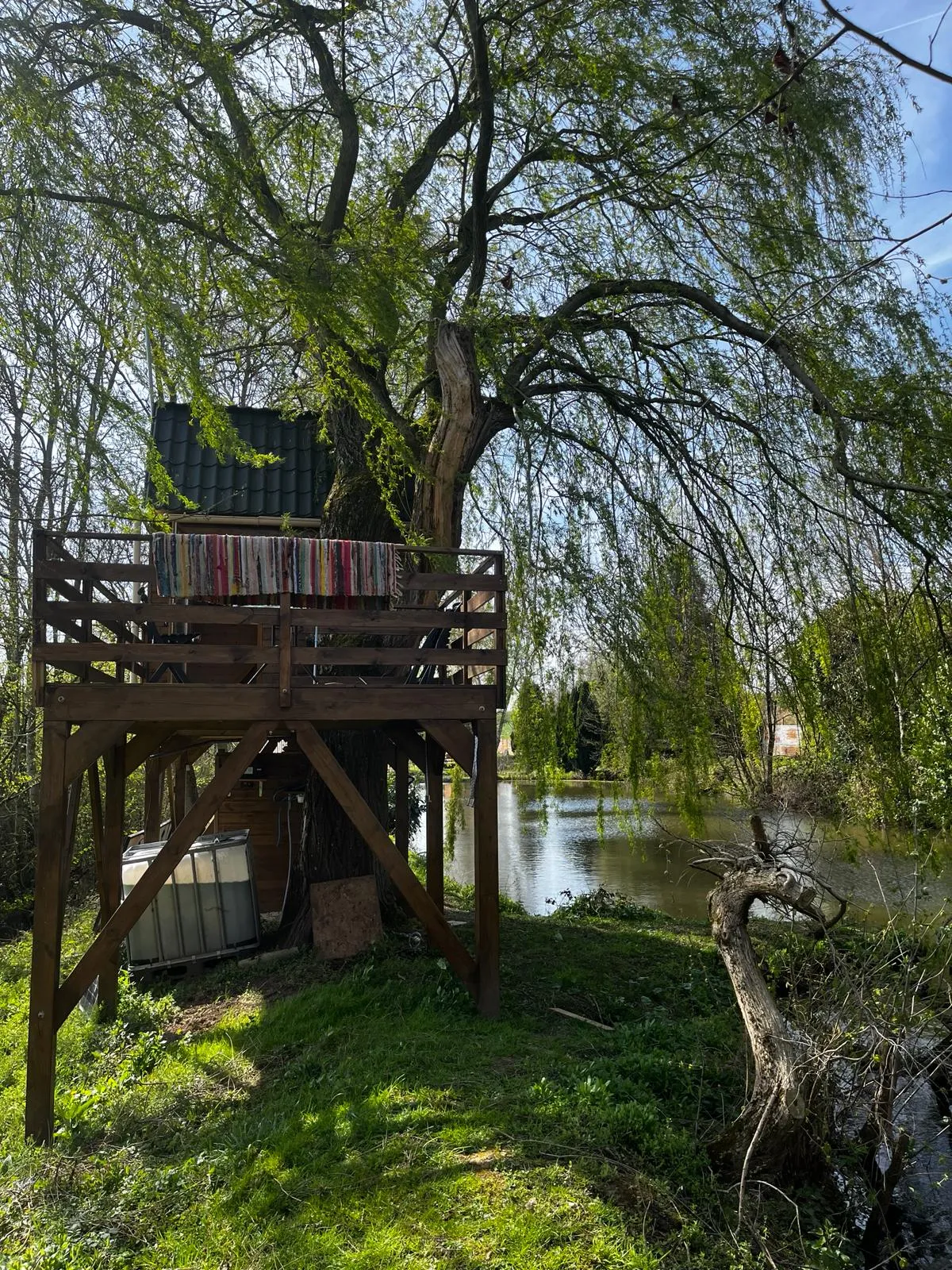 Dans un arbre perché à Vadencourt, photo 6