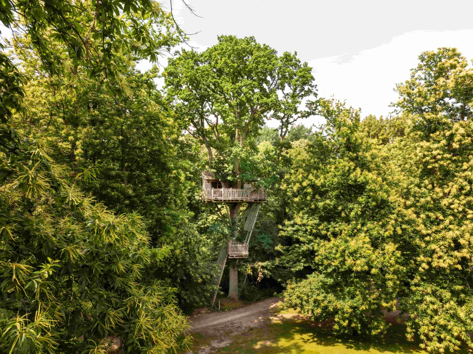 Cabane Duo dans les Arbres, cabane à Raray