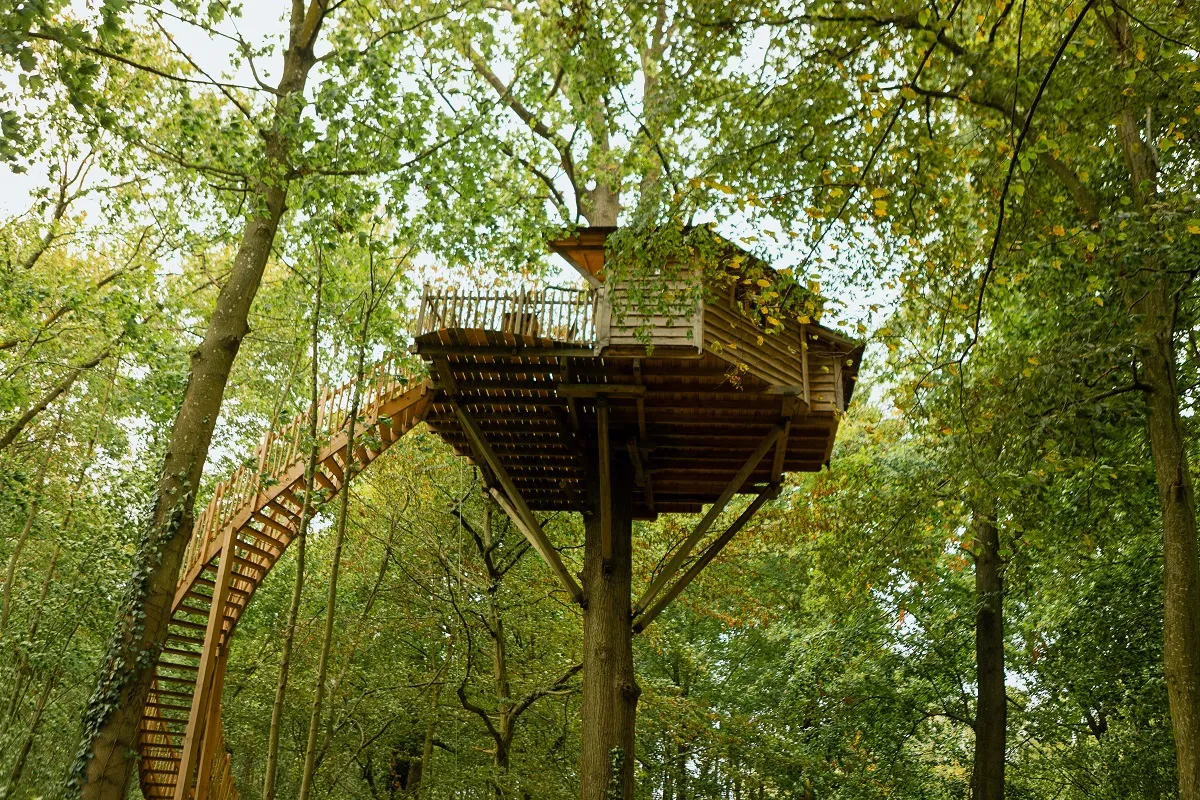 Cabane Duo dans les Arbres à Raray, photo 3