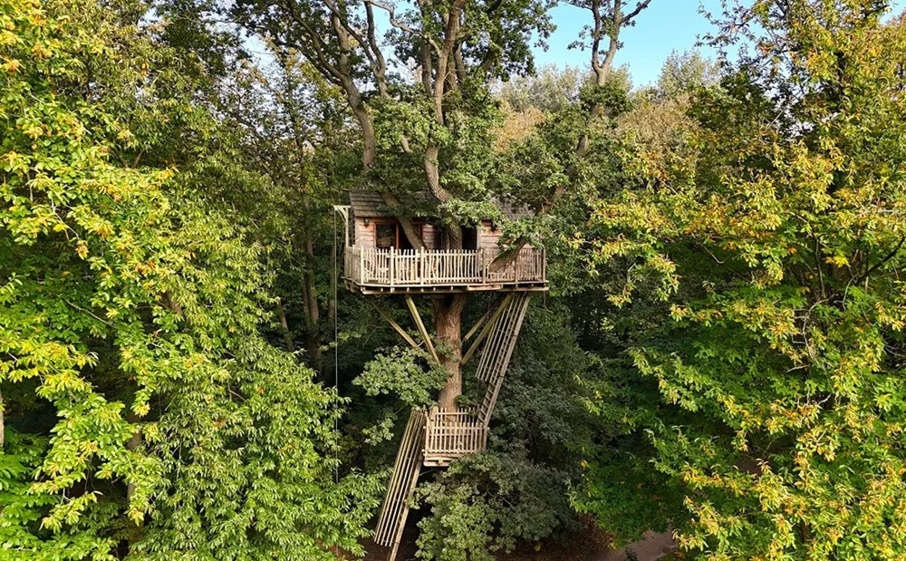 Cabane Duo dans les Arbres à Raray, photo 4