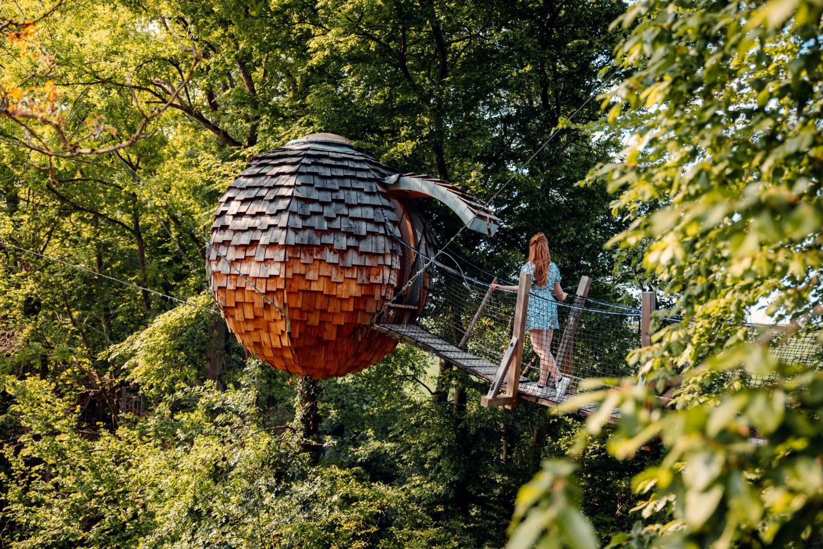 Cabane Spa Cocoon Étoilé, cabane à Rosoy-en-Multien
