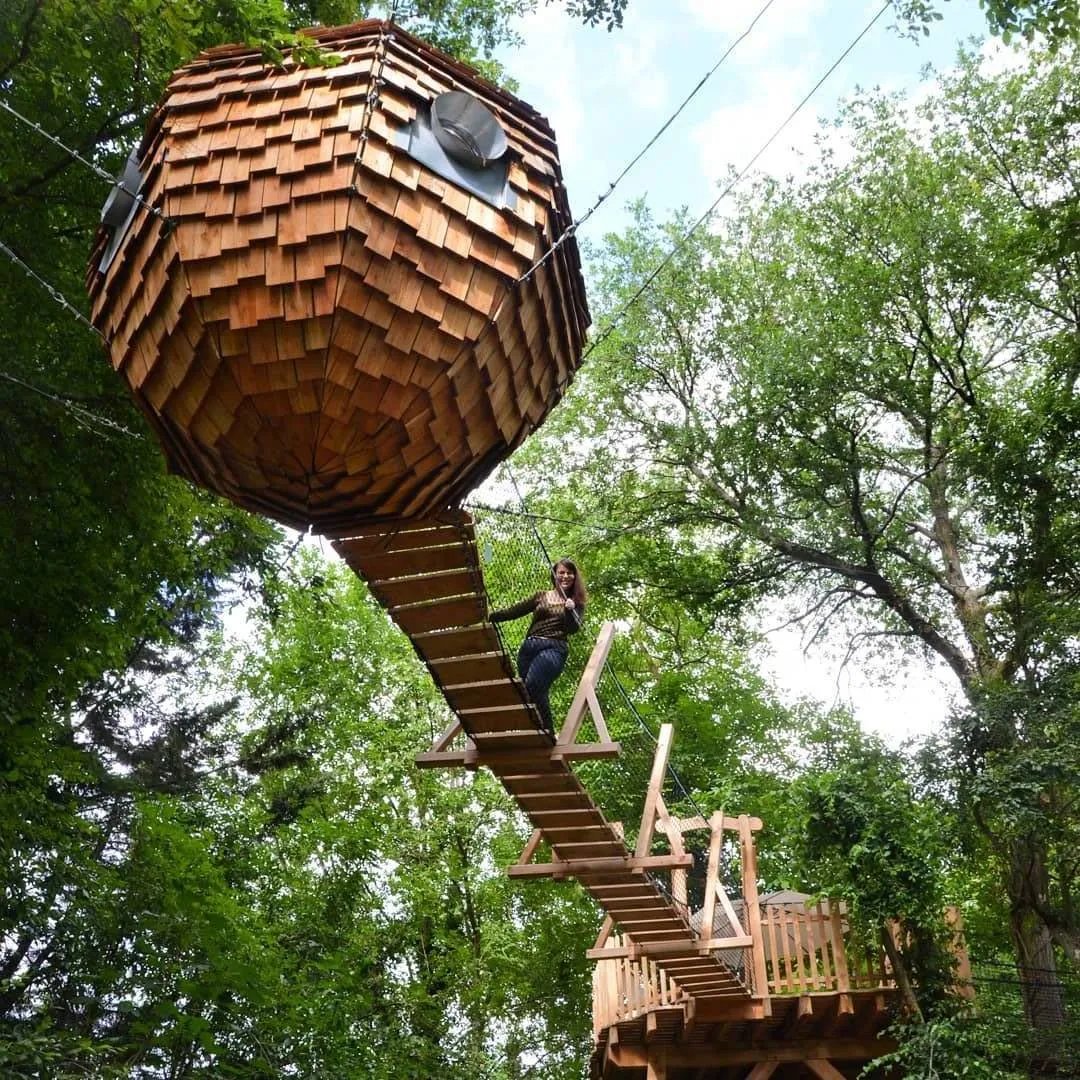 Cabane Spa Cocoon Étoilé à Rosoy-en-Multien, photo 4