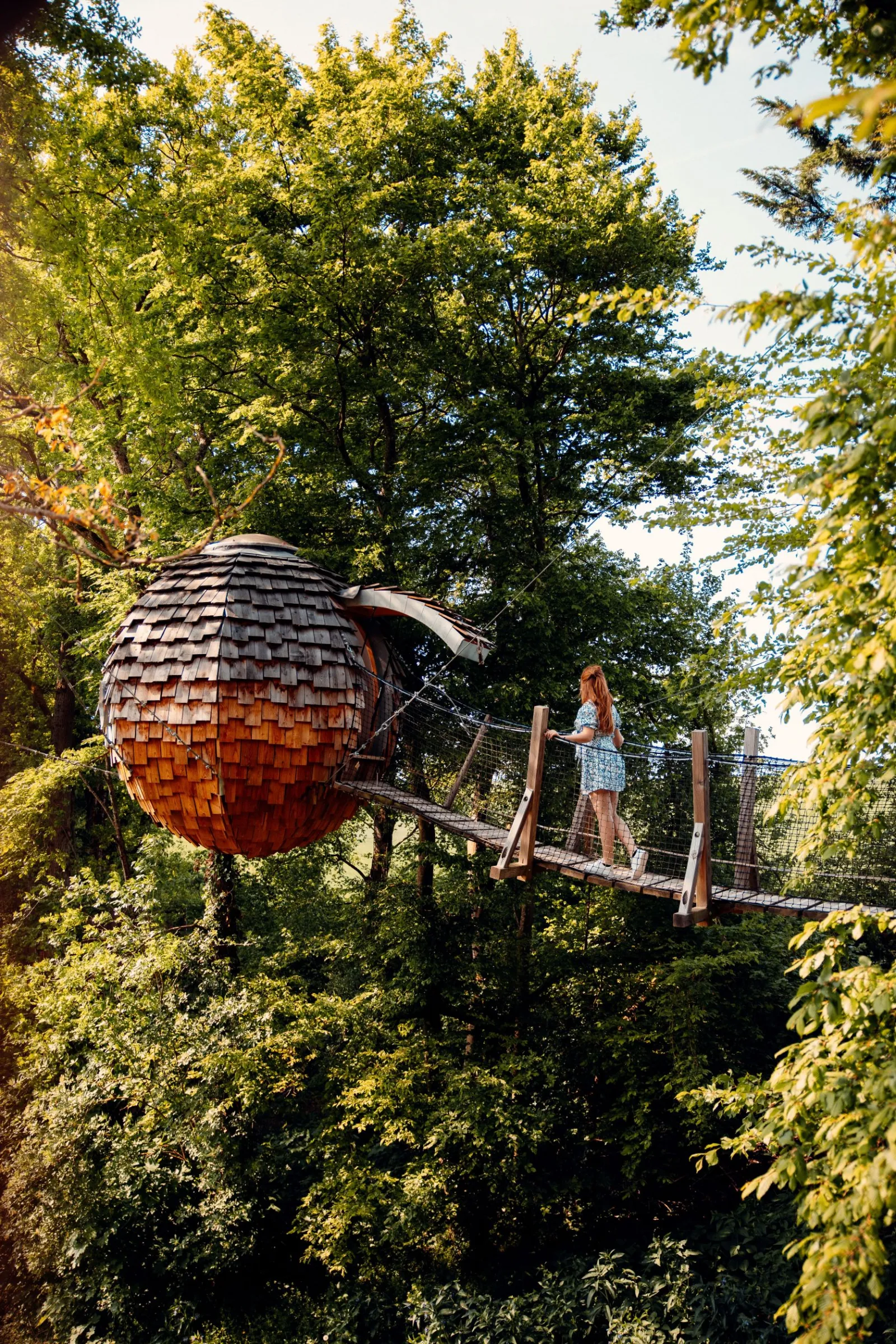 Cabane Spa Cocoon Étoilé à Rosoy-en-Multien, photo 6