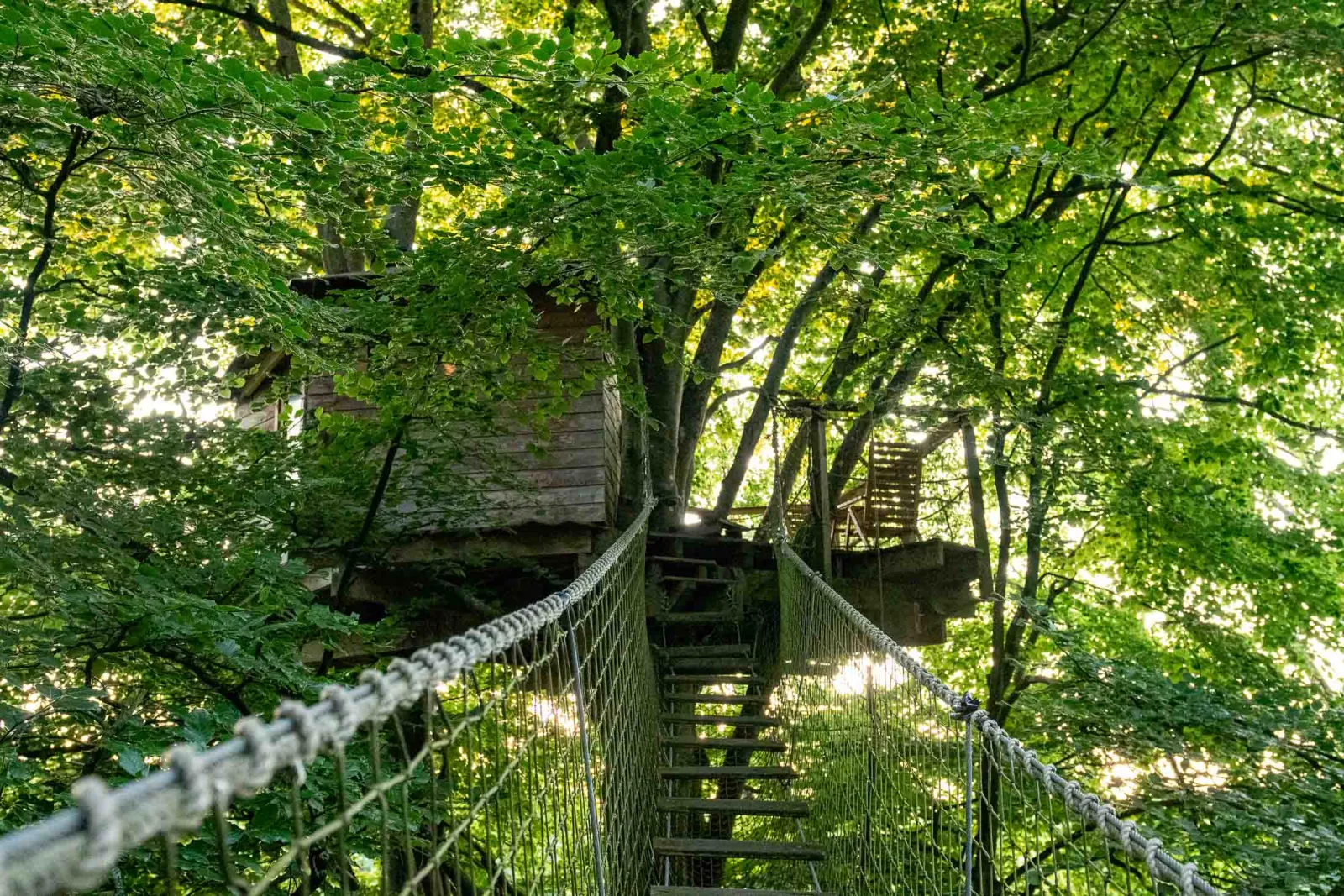 Cabane Épervier, cabane à Saint-Pierre-Azif