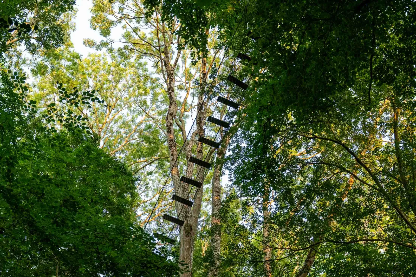 Cabane Épervier à Saint-Pierre-Azif, photo 3