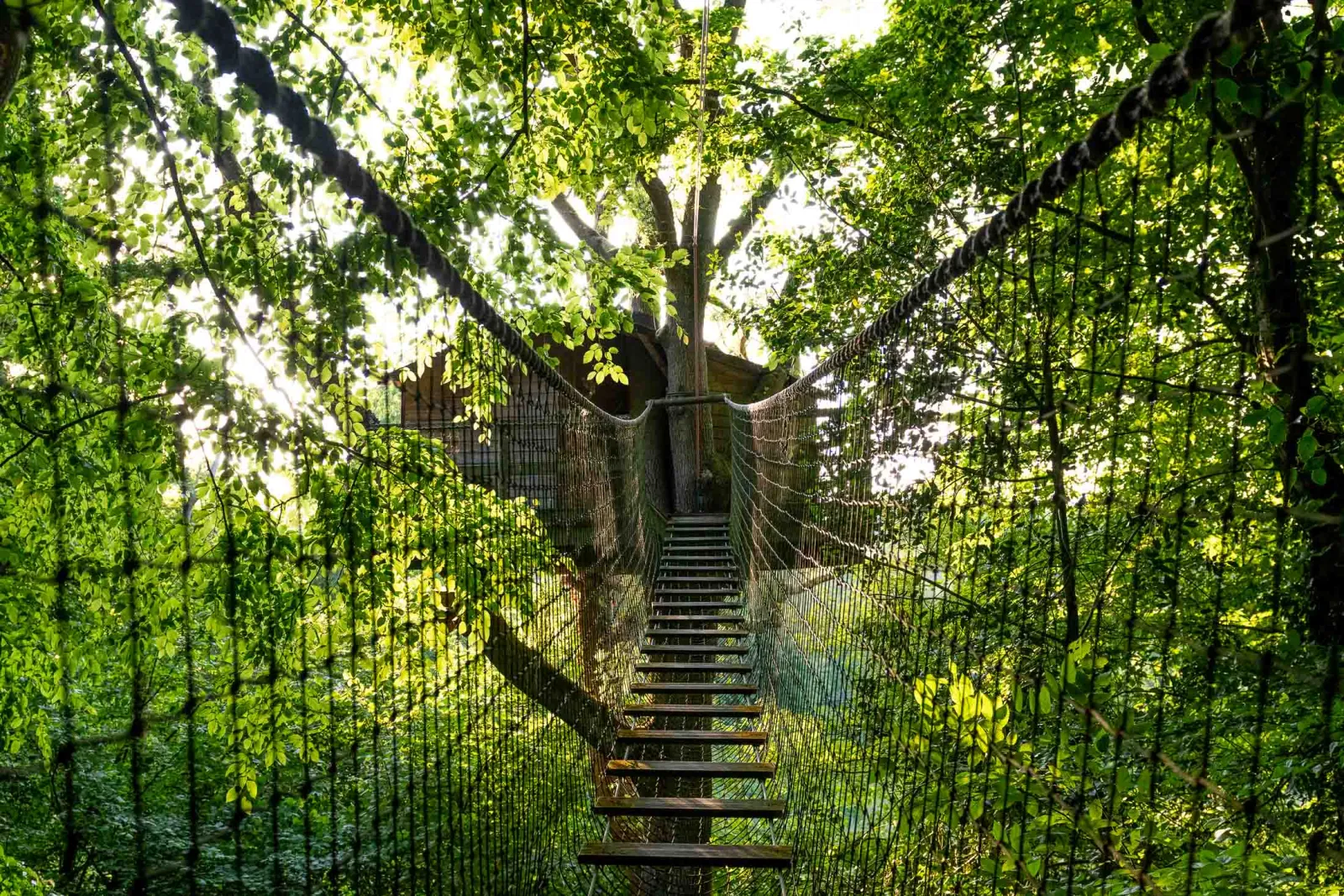 Cabane Rossignol, cabane à Saint-Pierre-Azif