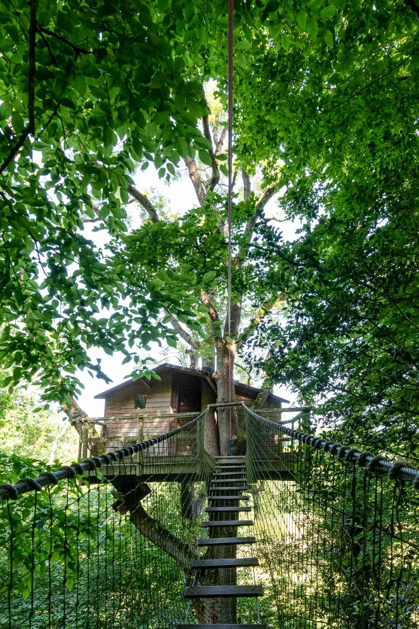 Cabane Rossignol à Saint-Pierre-Azif, photo 2