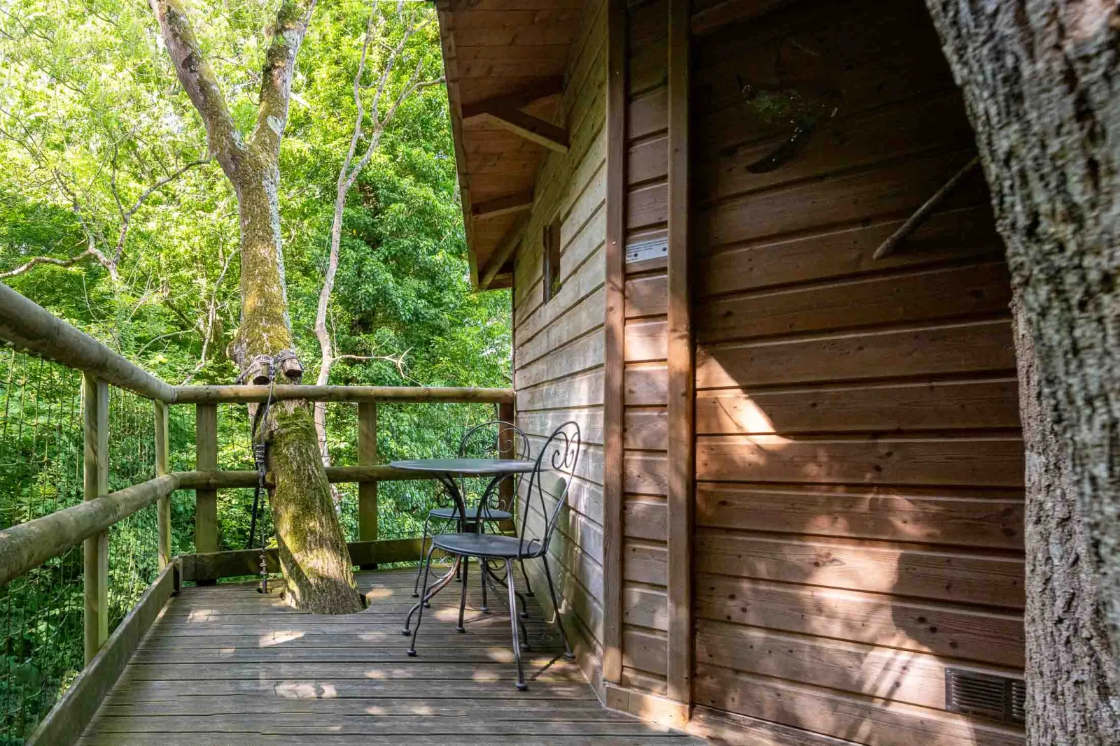 Cabane Rossignol à Saint-Pierre-Azif, photo 3