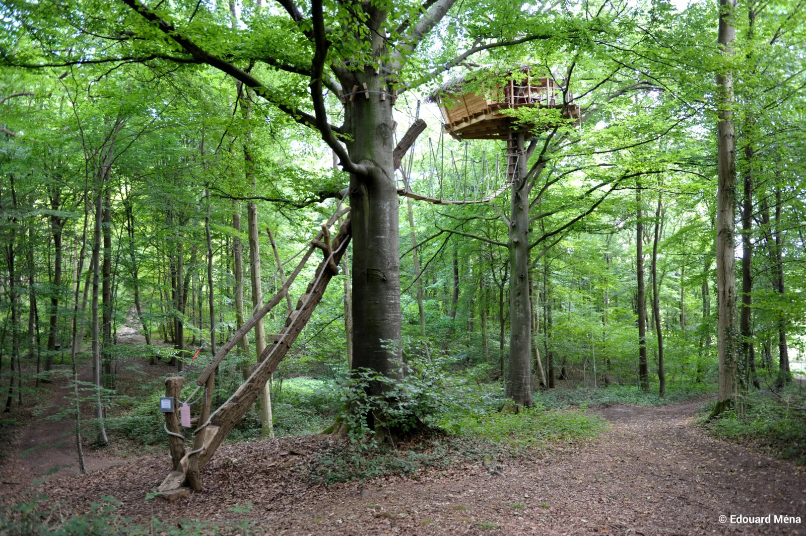 Cabane Berceau, cabane à Saint-Germain-des-Essourts