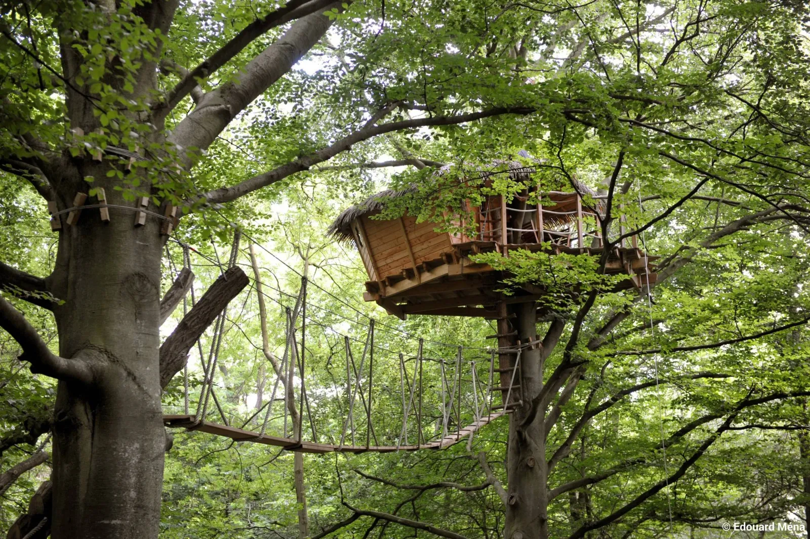 Cabane Berceau à Saint-Germain-des-Essourts, photo 3