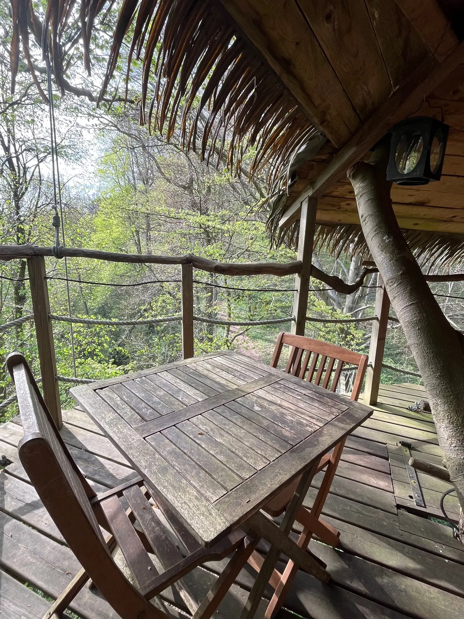 Cabane Berceau à Saint-Germain-des-Essourts, photo 4