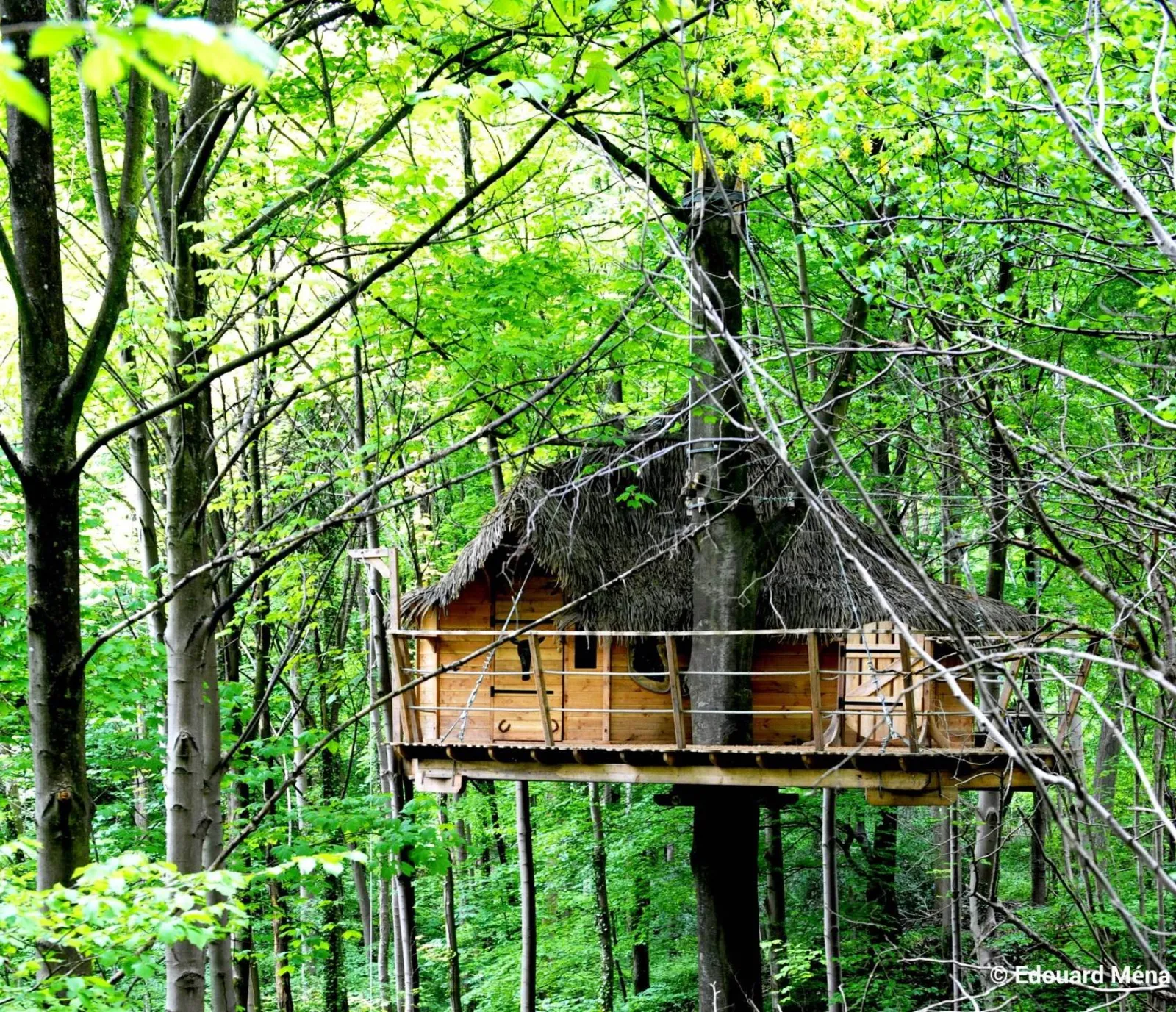 Cabane Fer à cheval, cabane à Saint-Germain-des-Essourts