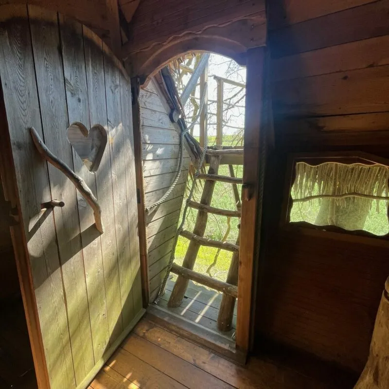 Cabane Grand Hêtre à Saint-Germain-des-Essourts, photo 4