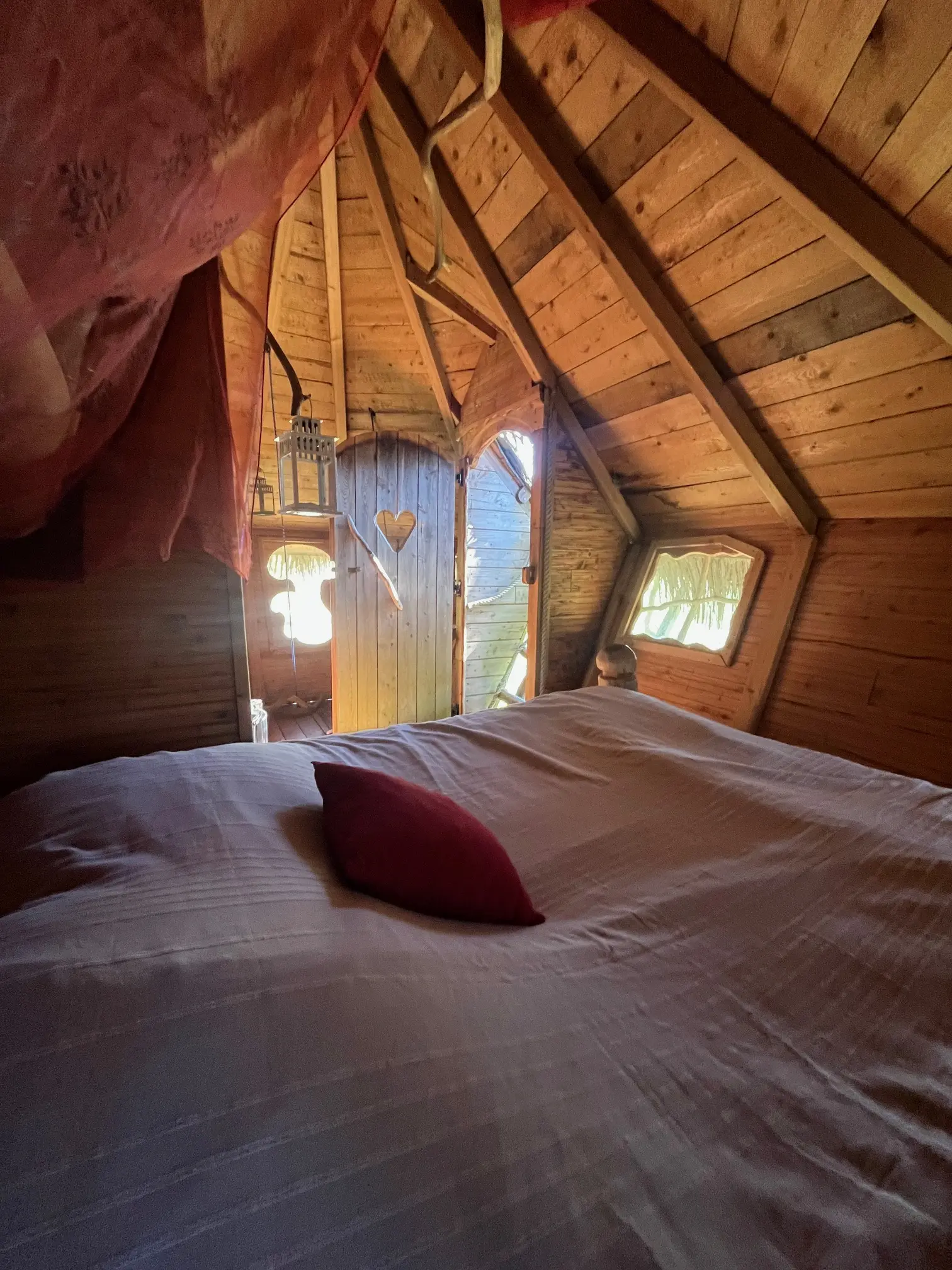 Cabane Grand Hêtre à Saint-Germain-des-Essourts, photo 6