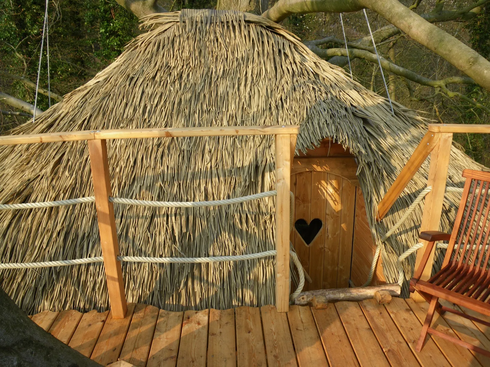 Cabane Grand Hêtre à Saint-Germain-des-Essourts, photo 7