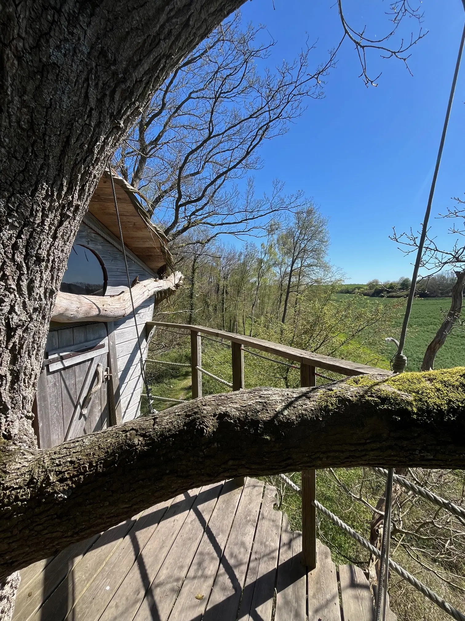 Cabane Terriers à Saint-Germain-des-Essourts, photo 7