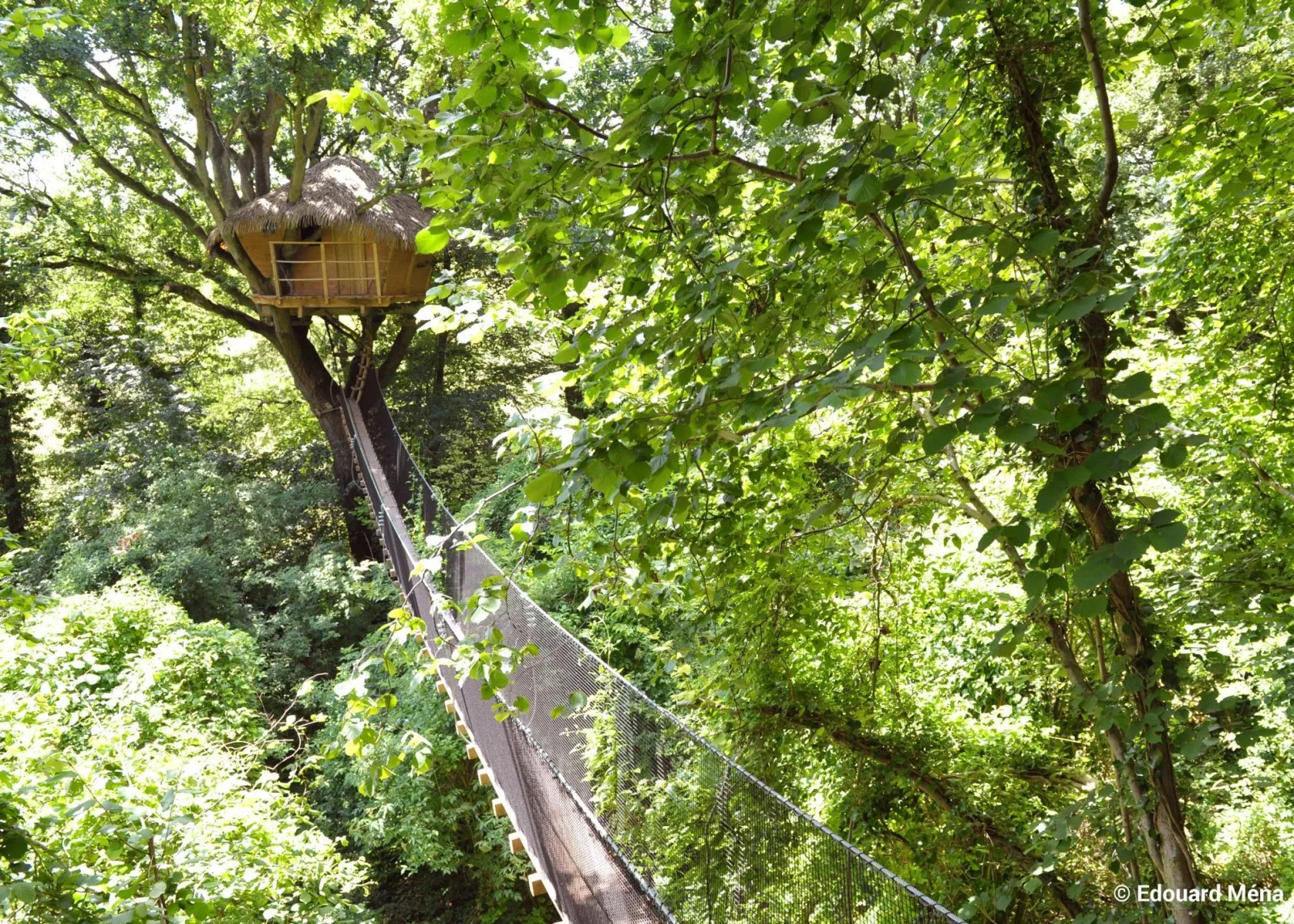 Cabane du Vieux Chêne, cabane à Saint-Germain-des-Essourts
