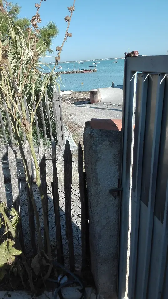 Cabane de pêcheur du Chapus à Bourcefranc-le-Chapus, photo 3