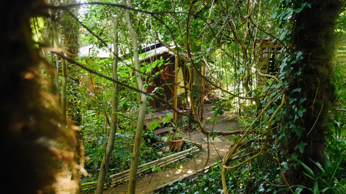 Cabane exotique à Saint-Césaire, photo 4