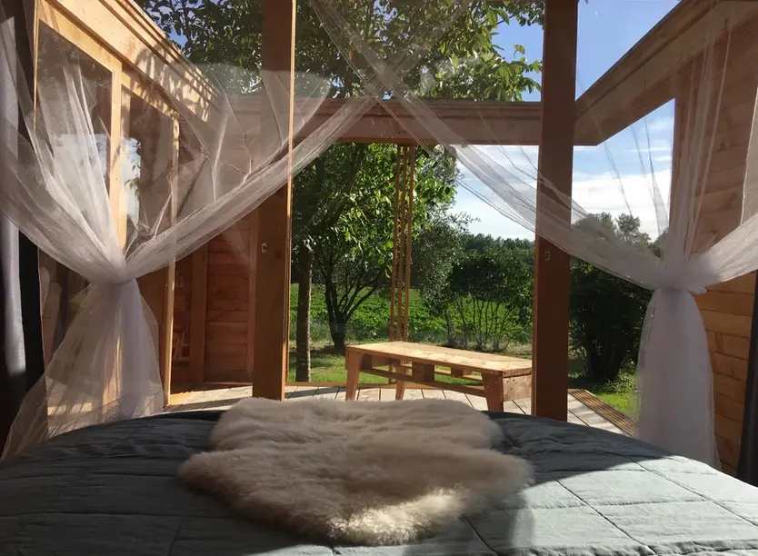 La Cabane de Guitinières à Guitinières, photo 3