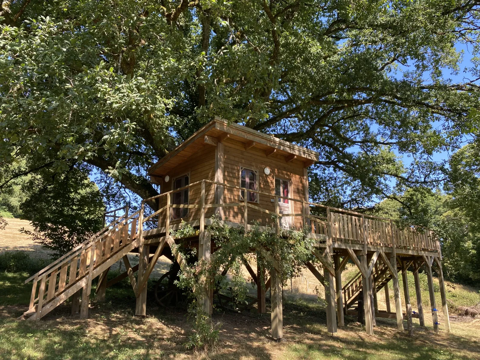 Cabane du chêne tricentenaire, cabane à Lamongerie