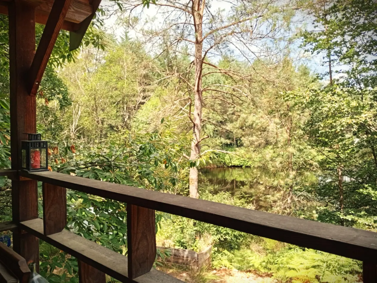 Cabane du Bois des Nénuphars à Clergoux, photo 4
