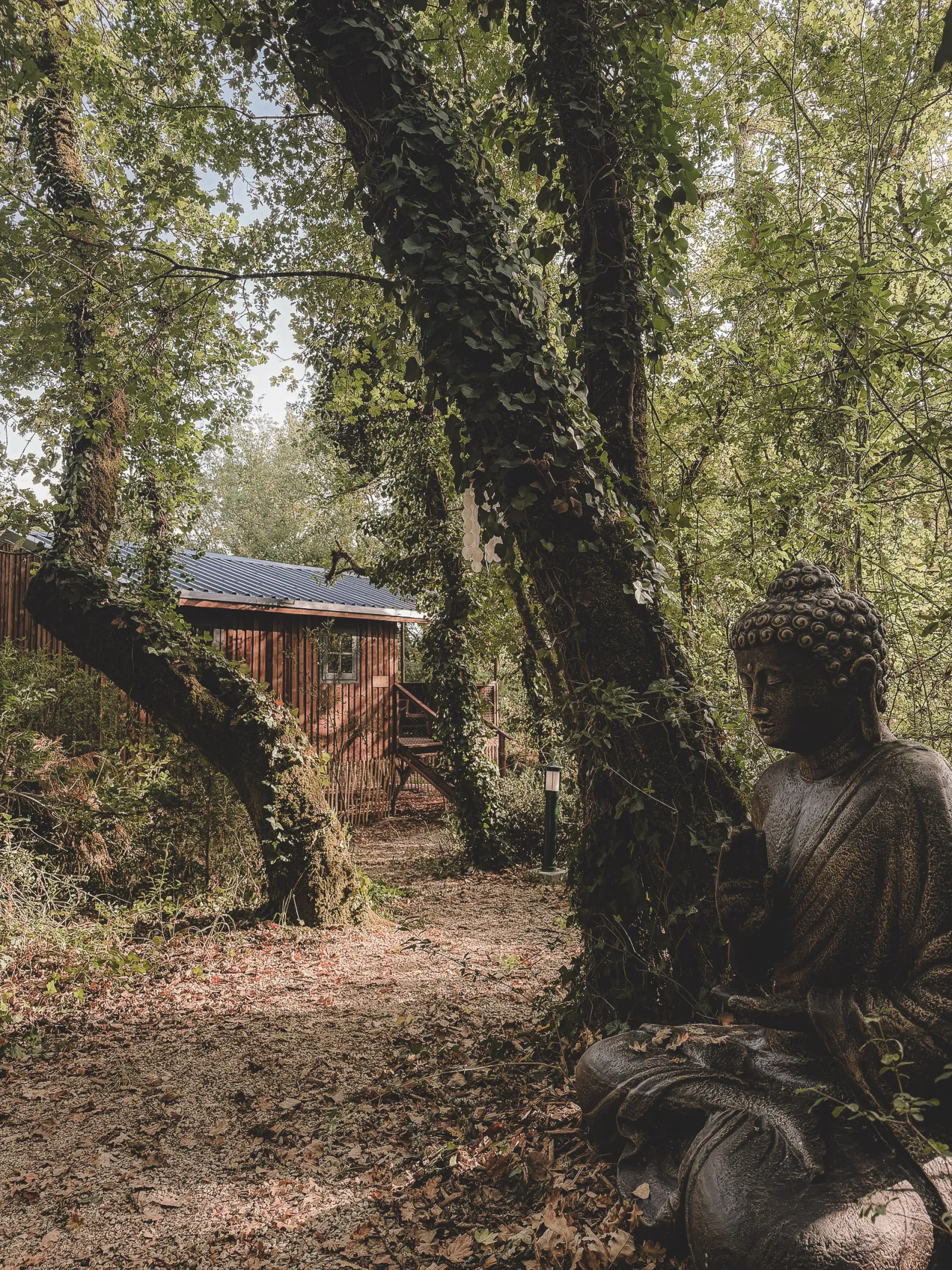 Cabane Tèrra à Saint-Aubin-de-Nabirat, photo 7