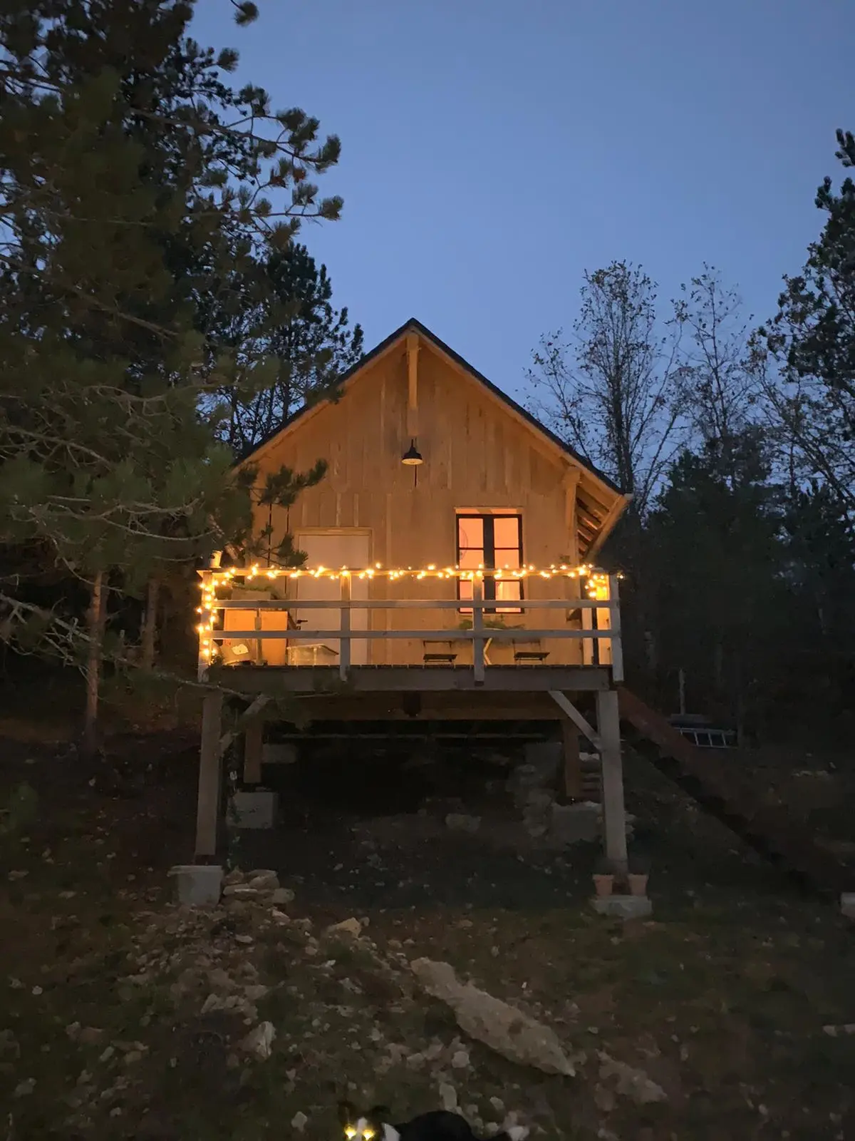 Cabane des Brandes à Antonne-et-Trigonant, photo 2