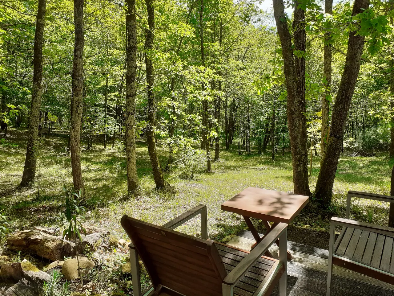 Cabane de l'Oiseau à Couze-et-Saint-Front, photo 6