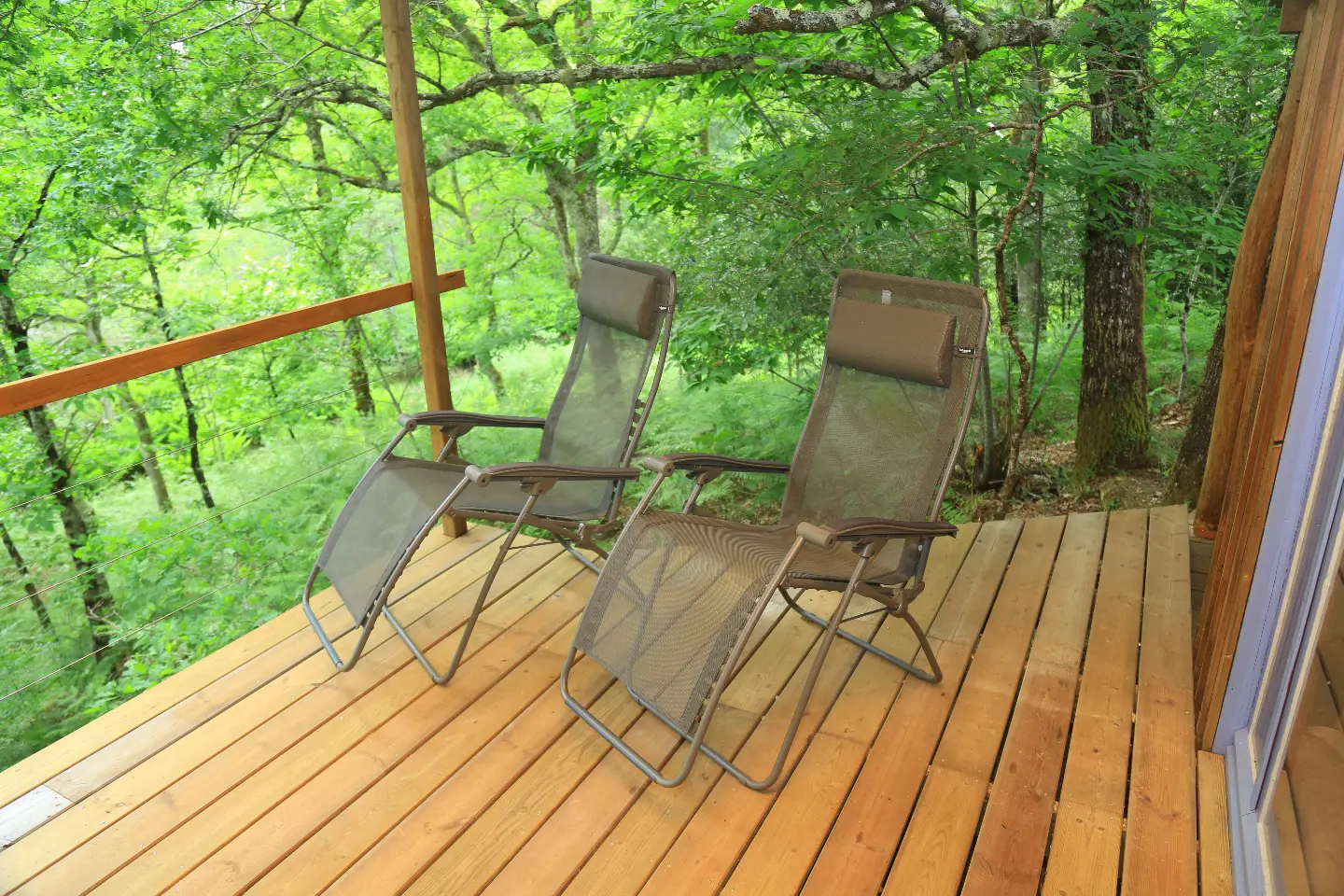 Cabane du Ruisseau de la Calette à Belin-Béliet, photo 3