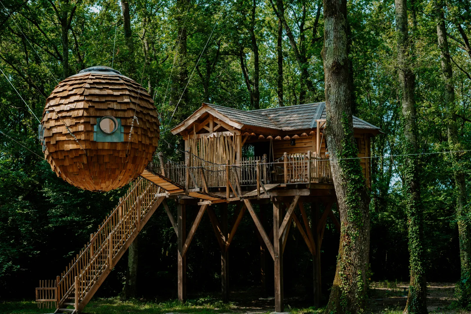 Cabane Nid d'Amour à Martillac, photo 4