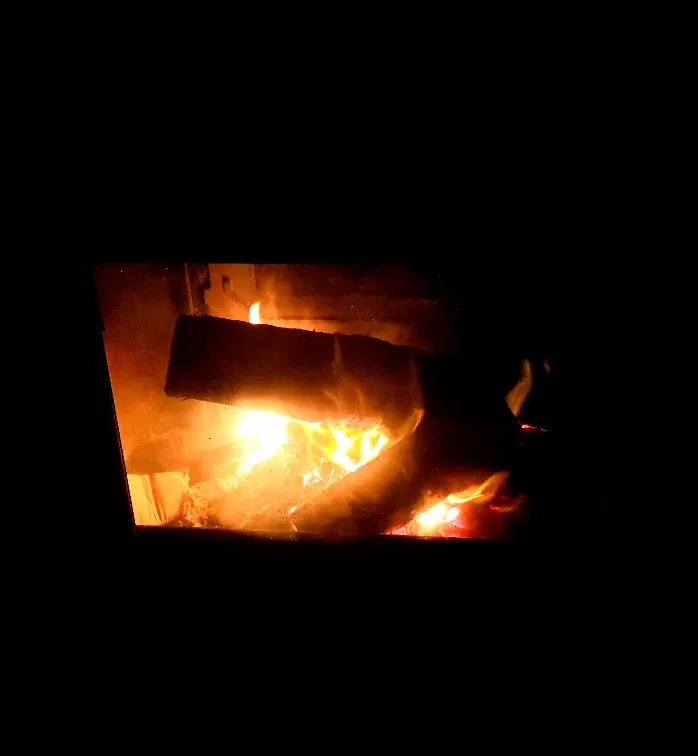 Cabane Léonie à Berson, photo 7