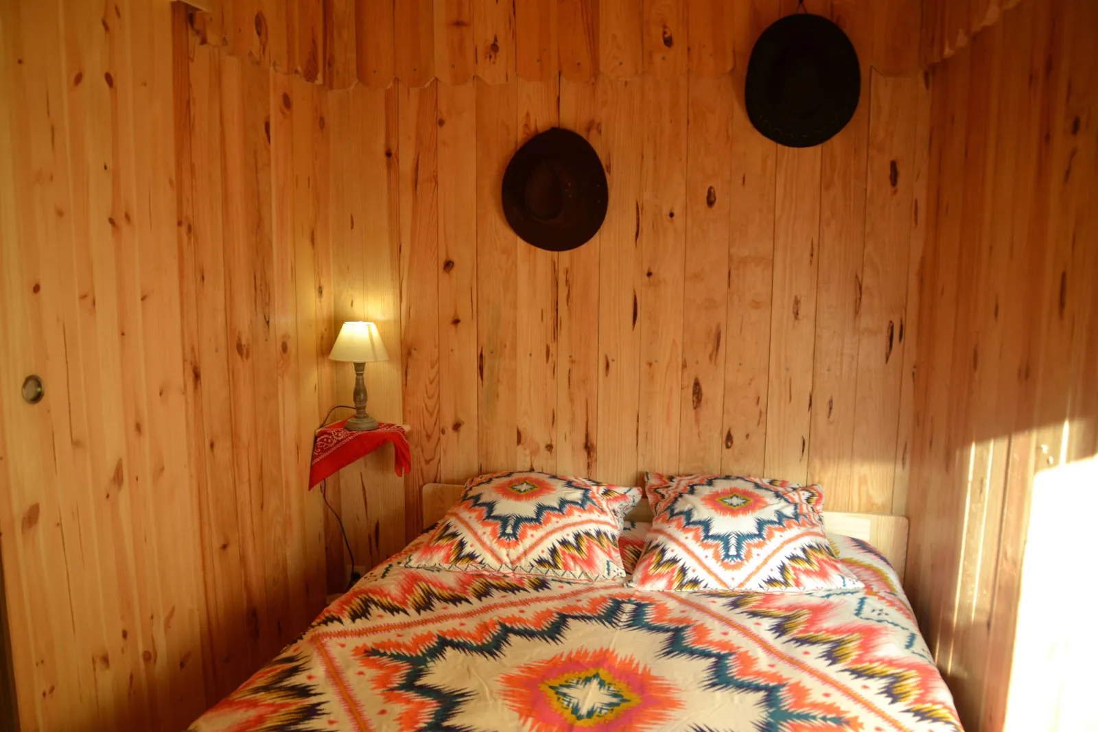Cabane du Cow-Boy à Saint-Paul-en-Born, photo 6